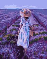 Opakowanie Malowanie po numerach - Pole lawendy 40x50cm