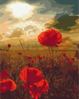 Opakowanie Malowanie po numerach Pole maków