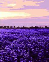 Opakowanie Malowanie po numerach - Południe Francji 40x50cm