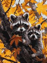 Opakowanie Malowanie po numerach - Przygoda z szopami 30x40cm