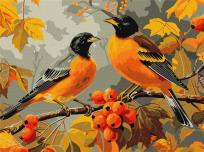 Opakowanie Malowanie po numerach - Ptaki w ogrodzie 30x40cm