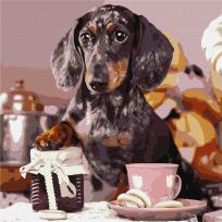 Opakowanie Malowanie po numerach - Puszysty kucharz 40x40