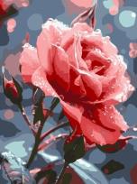Opakowanie Malowanie po numerach - Róża na róży 30x40cm