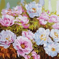 Opakowanie Malowanie po numerach - Różnorodność piwonii 50x50