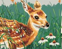 Opakowanie Malowanie po numerach - Sarna w trawie 40x50cm