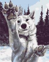 Opakowanie Malowanie po numerach  Śliczny wilk