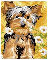 Opakowanie Malowanie po numerach - Słodki pies 40x50cm