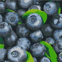 Opakowanie Malowanie po numerach - Soczysta borówka 25x25