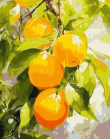 Opakowanie Malowanie po numerach - Soczyste cytryny 40x50cm