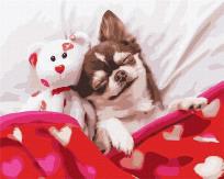 Opakowanie Malowanie po numerach - Śpiąca Królewna 40x50cm