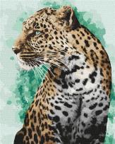 Opakowanie Malowanie po numerach - Spojrzenie 40x50cm