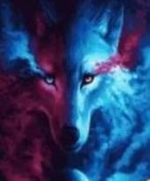 Opakowanie Malowanie po numerach - Spojrzenie wilka 40x50cm