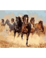 Opakowanie Malowanie po numerach - Stado koni 40x50cm