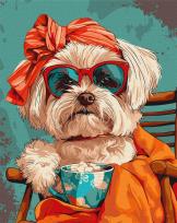 Opakowanie Malowanie po numerach - Stylowy Shih tzu 40x50cm