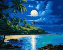 Opakowanie Malowanie po numerach - Światło Księżyca 40x50cm