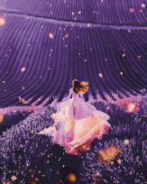 Opakowanie Malowanie po numerach Światło w lawendowym polu