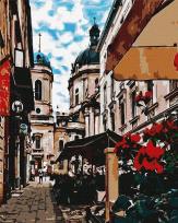 Opakowanie Malowanie po numerach - Uroczy Lwów 40x50cm
