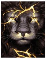 Opakowanie Malowanie po numerach - W środku ognia 40x50cm