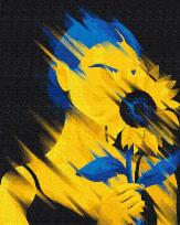 Opakowanie Malowanie po numerach - Wolność 40x50cm