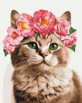 Opakowanie Malowanie po numerach Wyrafinowany kotek