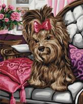 Opakowanie Malowanie po numerach - Yorkshire terrier 40x50cm