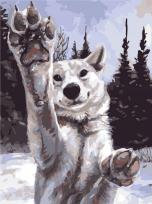 Opakowanie Malowanie po numerach - Zabawa z wilkiem 30x40rama