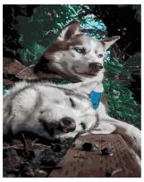 Opakowanie Malowanie po numerach - Zabawny husky 40x50cm