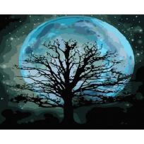 Opakowanie Malowanie po numerach - Zaczarowany księżyc 40x50