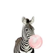 Opakowanie Malowanie po numerach - Zebra huba-booba 40x50cm