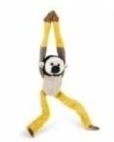 Opakowanie Małpa sajmirka 43cm