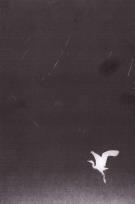 Okładka książki Manowce