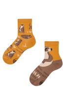 Zdjęcie produktu Many Mornings Skarpetki dziecięce The Meerkat 27/30