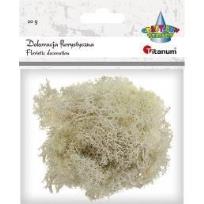 Opakowanie Mech chrobotek beżowy 20g