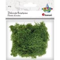 Opakowanie Mech chrobotek ciemnozielony 20g