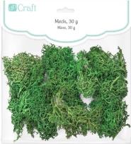 Opakowanie Mech ciemnozielony 30g