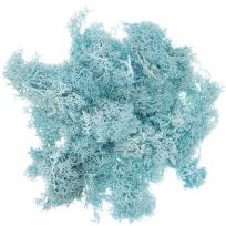 Opakowanie Mech turkusowy 30g