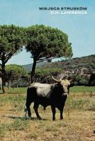 Okładka książki Miejsca Etrusków