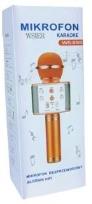 Opakowanie Mikrofon zabawkowy JYWK369-1 złoty
