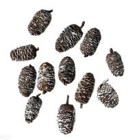 Opakowanie Mini szyszki bielone 12szt