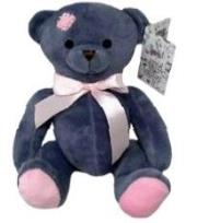 Opakowanie Miś Maciuś 18cm