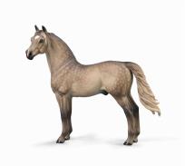 Opakowanie Morgan Stallion - Silver Grulla