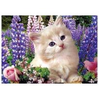 Opakowanie Mozaika diamentowa 5D - Kotek 40x30cm