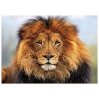 Opakowanie Mozaika diamentowa 5D - Lew 40x30cm