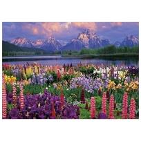 Opakowanie Mozaika diamentowa 5D - Pejzaż 40x30cm