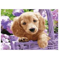 Opakowanie Mozaika diamentowa 5D - Pies 40x30cm