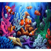 Opakowanie Mozaika diamentowa 5D - Rafa 40x30cm