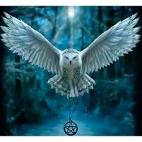 Opakowanie Mozaika diamentowa 5D - Sowa 40x30cm