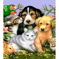 Opakowanie Mozaika diamentowa 5D - Zwierzęta 40x30cm
