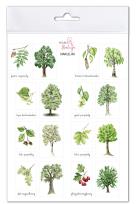 Opakowanie Naklejki Drzewa 1