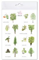 Opakowanie Naklejki Drzewa 2